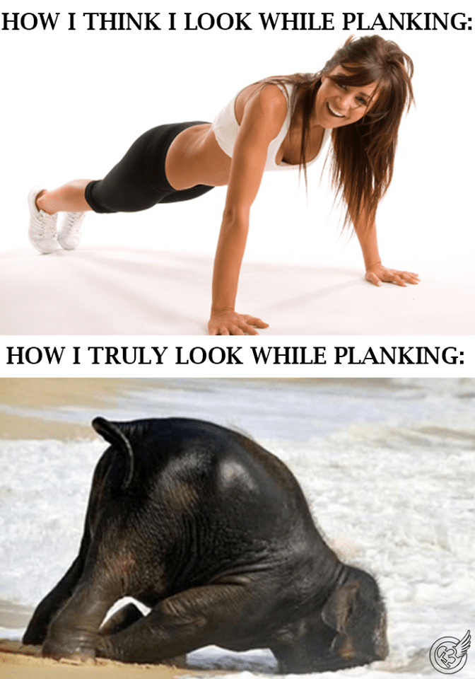 Planking Reality